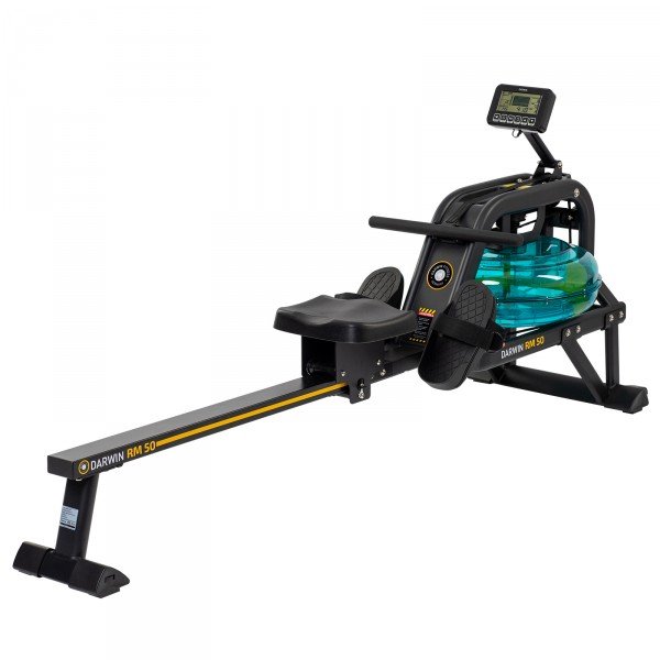 Rameur Darwin RM50