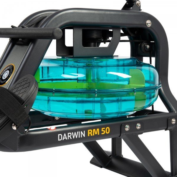 Rameur Darwin RM50