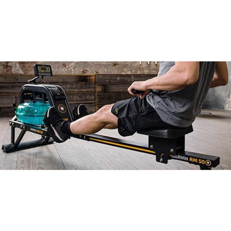 Rameur Darwin RM50
